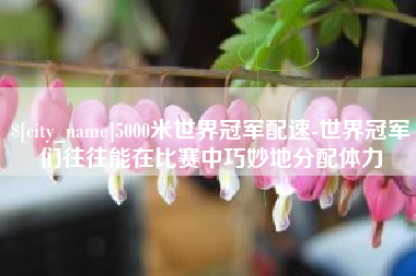 石嘴山5000米世界冠军配速-世界冠军们往往能在比赛中巧妙地分配体力