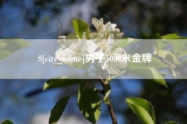 石嘴山男子5000米金牌