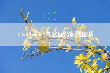 石嘴山九宫图分割线图片