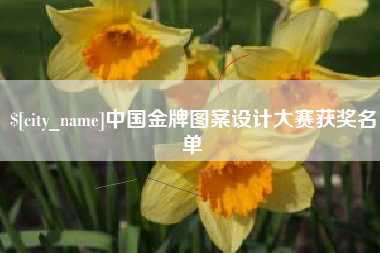 石嘴山中国金牌图案设计大赛获奖名单