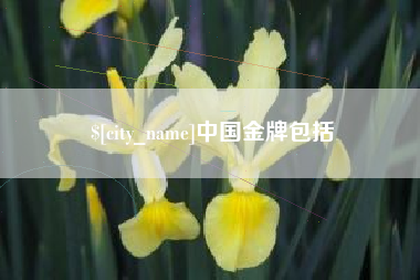 石嘴山中国金牌包括
