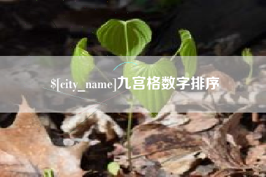 石嘴山九宫格数字排序
