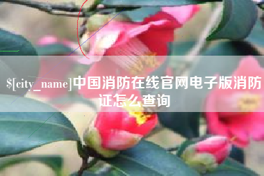 石嘴山中国消防在线官网电子版消防证怎么查询