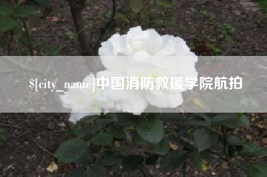 石嘴山中国消防救援学院航拍