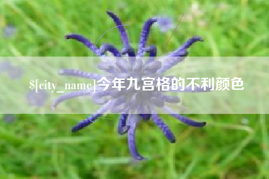 石嘴山今年九宫格的不利颜色