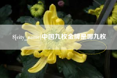 石嘴山中国九枚金牌是哪九枚