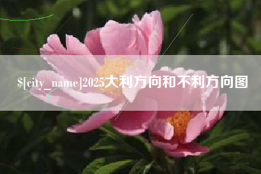 石嘴山2025大利方向和不利方向图