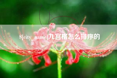 石嘴山九宫格怎么排序的