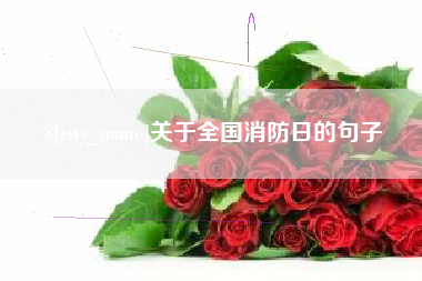 石嘴山关于全国消防日的句子