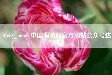 石嘴山中国消防网官方网站公众号达伦特