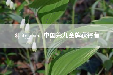 石嘴山中国第九金牌获得者