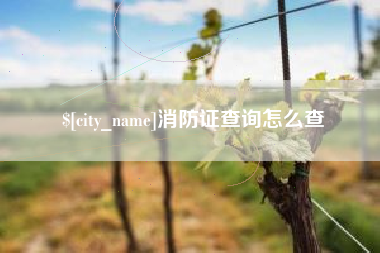 石嘴山消防证查询怎么查