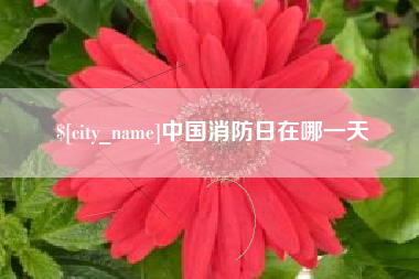 石嘴山中国消防日在哪一天