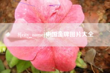 石嘴山中国金牌图片大全