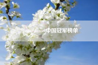 石嘴山中国冠军榜单