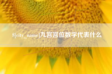 石嘴山九宫宫位数字代表什么
