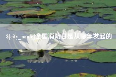 石嘴山全国消防日是从哪年发起的