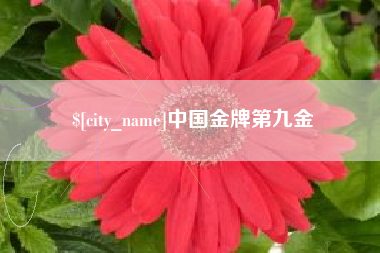 石嘴山中国金牌第九金