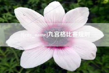 石嘴山九宫格比赛规则