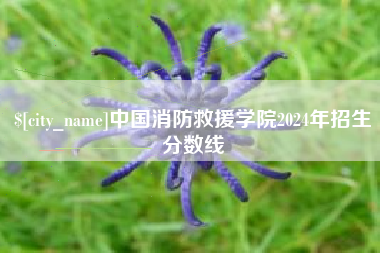 石嘴山中国消防救援学院2024年招生分数线