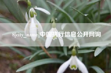 石嘴山中国执行信息公开网询