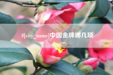 石嘴山中国金牌哪几项