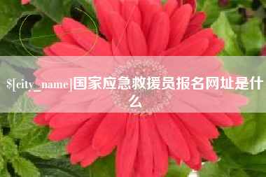 石嘴山国家应急救援员报名网址是什么