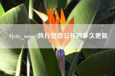 石嘴山执行信息公开网多久更新