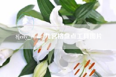 石嘴山九宫格盘点工具图片