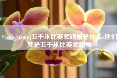 石嘴山五千米比赛领跑员是什么-他们就是五千米比赛领跑员