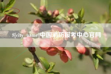 石嘴山中国消防报考中心官网