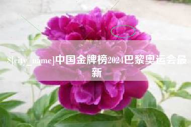 石嘴山中国金牌榜2024巴黎奥运会最新