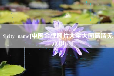 石嘴山中国金牌图片大全大图高清无水印
