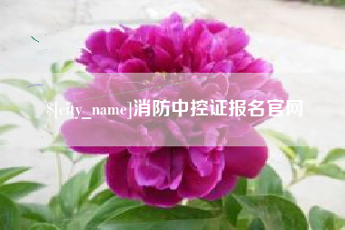 石嘴山消防中控证报名官网