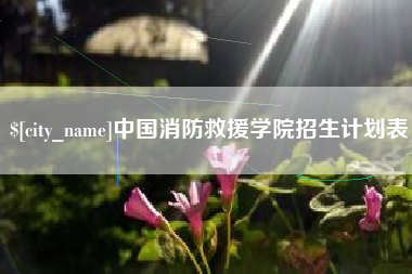 石嘴山中国消防救援学院招生计划表