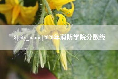 石嘴山2020年消防学院分数线