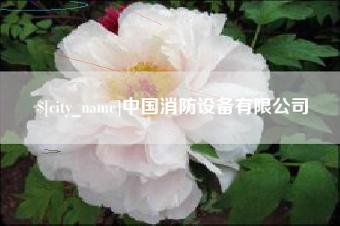 石嘴山中国消防设备有限公司