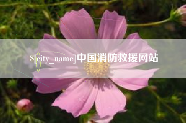 石嘴山中国消防救援网站