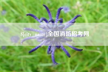 石嘴山全国消防招考网