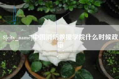 石嘴山中国消防救援学院什么时候政审