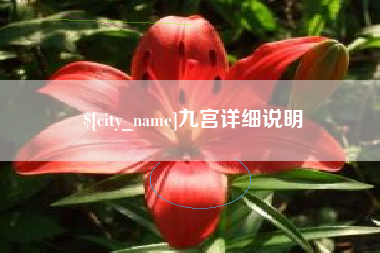 石嘴山九宫详细说明