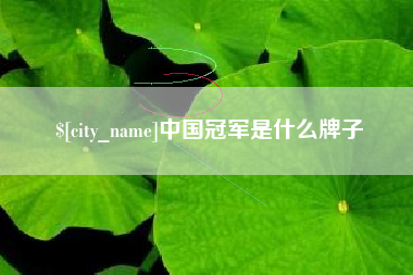 石嘴山中国冠军是什么牌子
