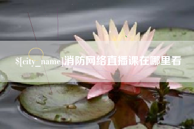 石嘴山消防网络直播课在哪里看