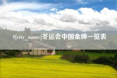 石嘴山冬运会中国金牌一览表