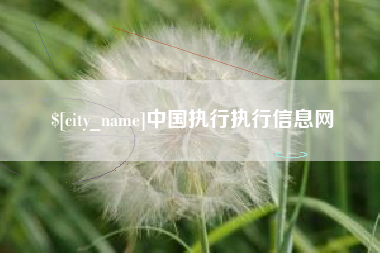 石嘴山中国执行执行信息网