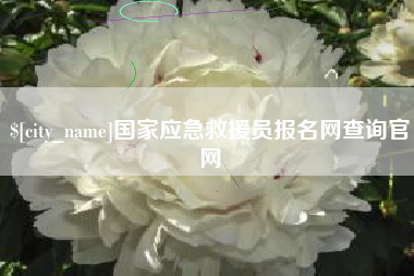石嘴山国家应急救援员报名网查询官网