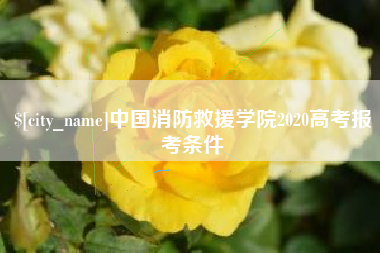 石嘴山中国消防救援学院2020高考报考条件