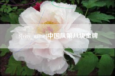 石嘴山中国队第八块金牌