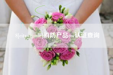 石嘴山消防产品ccc认证查询
