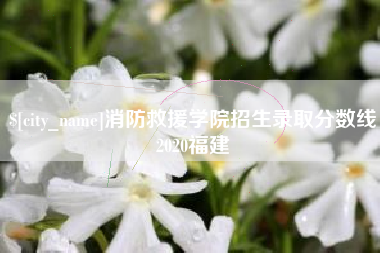 石嘴山消防救援学院招生录取分数线2020福建
